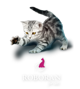 Roboran for cats