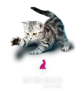 Роборан для кошек