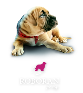 Roboran for dogs